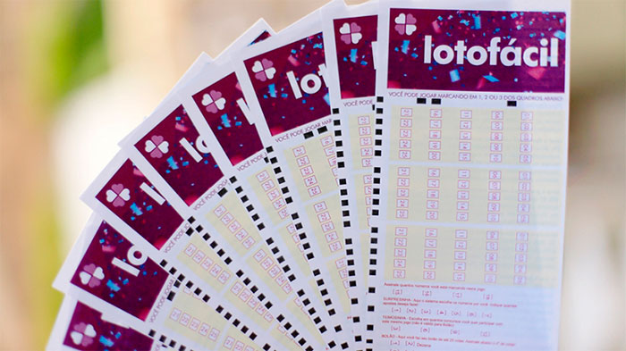 como jogar loteria federal online